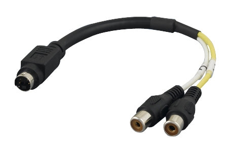 S-Video to RCA Female x 2 Video Cable, 6"